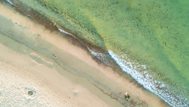 istock sea and beach from above 2162939584
