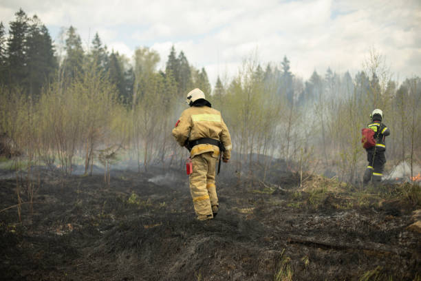 istock Lifeguard extinguishes dry grass. Firefighter inspects place of ignition. Environmental problem. 2162939654