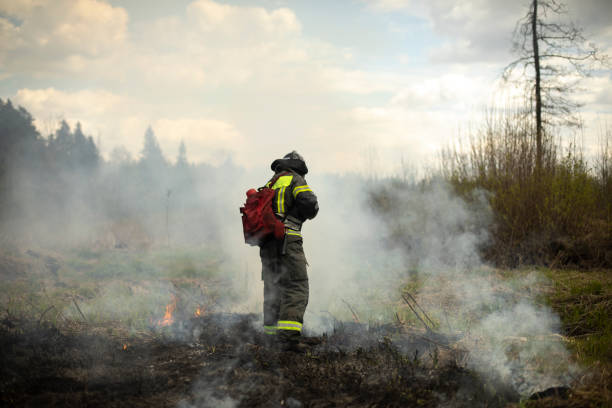 Firefighter puts out fire in woods. Lifeguard pours water.