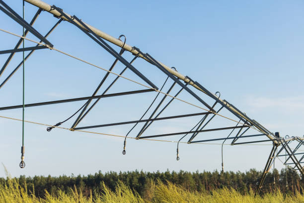 Equipment onfield for fertilizing and watering plants.