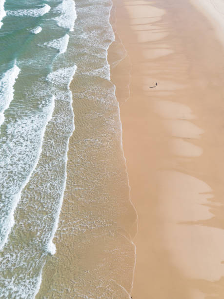 istock One person walking along a wild beach by the breaking waves 2162943266