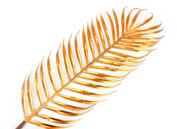 istock Golden palm tree leaf branch  isolated on white 2162944277