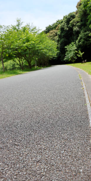 istock Asphalt road in green park 2162946711