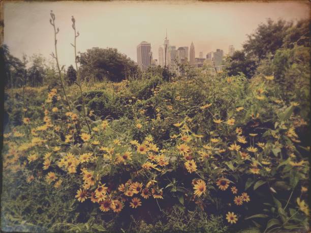 Wild Garden in Brooklyn - Vintage Style