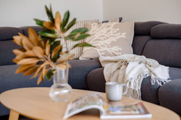 istock Home Lifestyle/Interior 2162954240