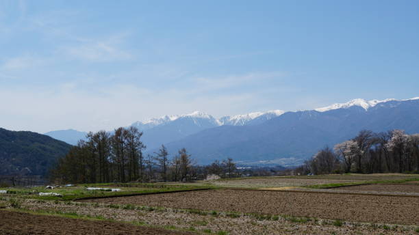 istock Cherry blossoms in bloom in Nagano, Japan 2162956296