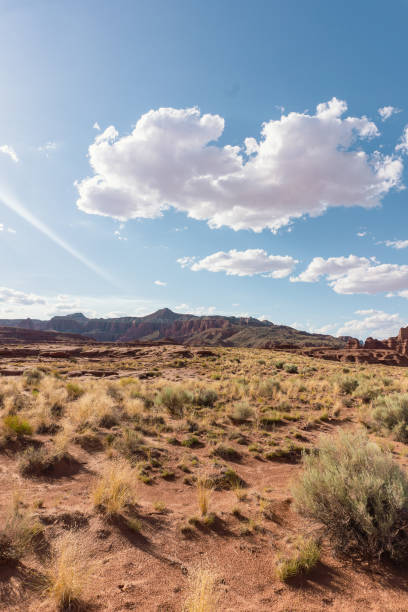 istock Canyonlands national park Sun and Moon 2162963265