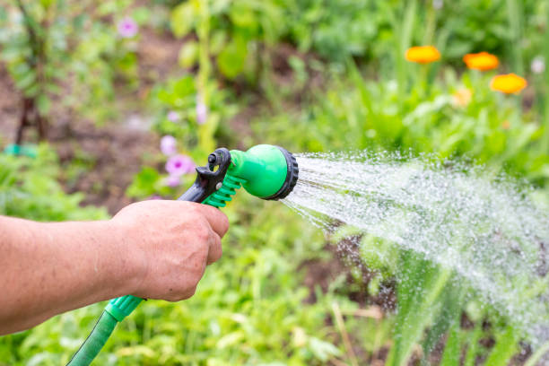 istock A hand holding a green garden sprayer, displayed in close proximity 2162968520