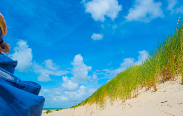 The beach and dune landscape with sand and marram grass along the North Sea near Petten in The Netherlands.