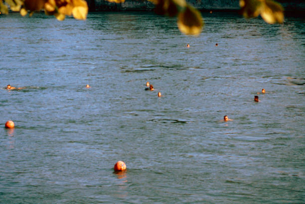 Basel, canton of Basel, Switzerland, 3 August 1986: the city extends on both banks of the Rhine river. In summer many people bathe in the river to cool off and are carried away by the gentle current thus crossing the beautiful historic center of the city