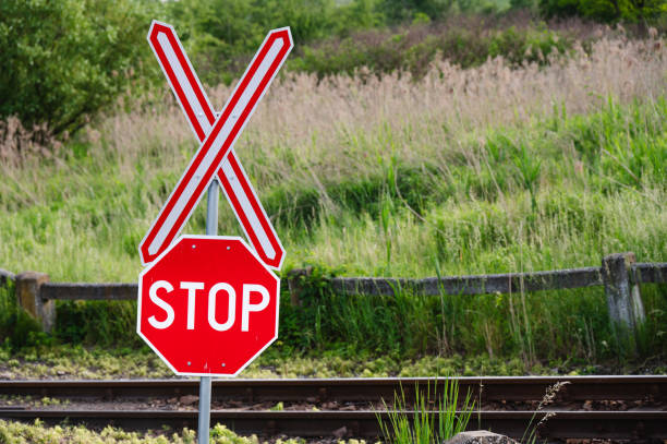 Red railroad stop sign situated beside railway tracks in a lush, green rural area, emphasizing safety and caution.