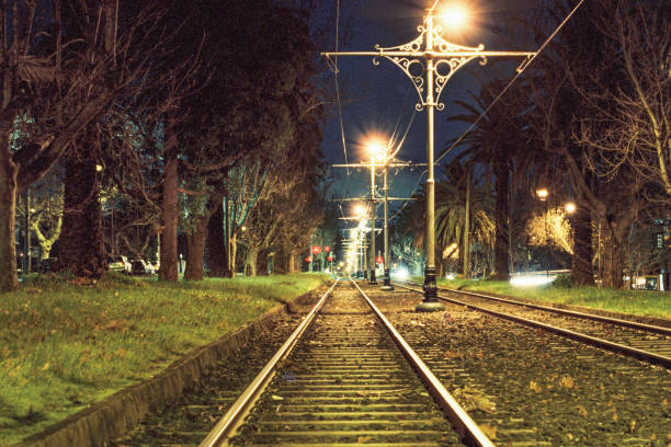 Night hues on the rails
