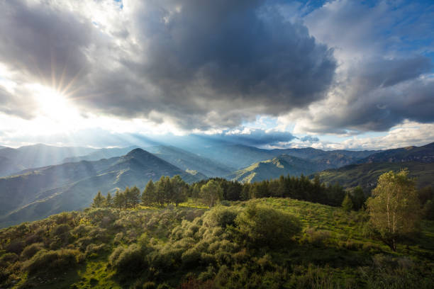 Beautiful clear sky with white clouds over vast agricultural and forestry landscapes, representing sustainable farming, ecological balance, and green environmental development in rural nature.