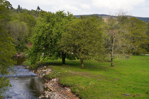 istock the river Aray in Inveraray 2162988120