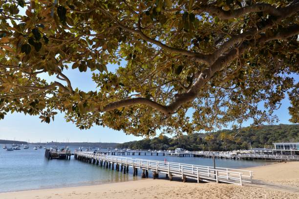 istock Balmoral beach in Sydney 2162989376