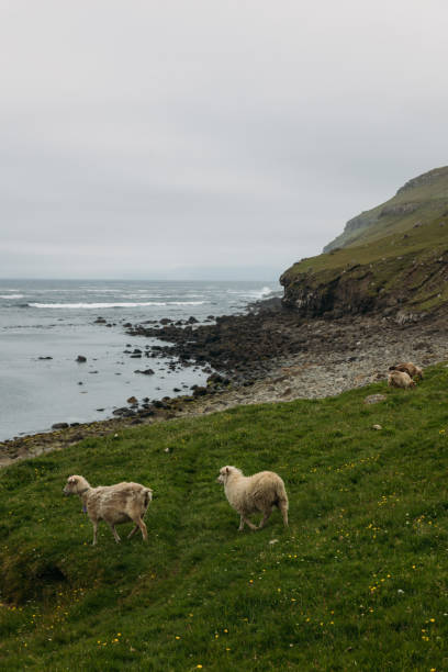 istock Faroe island beautiful landscape in summer time with sun 2162989919