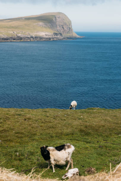 istock Faroe island beautiful landscape in summer time with sun 2162989984