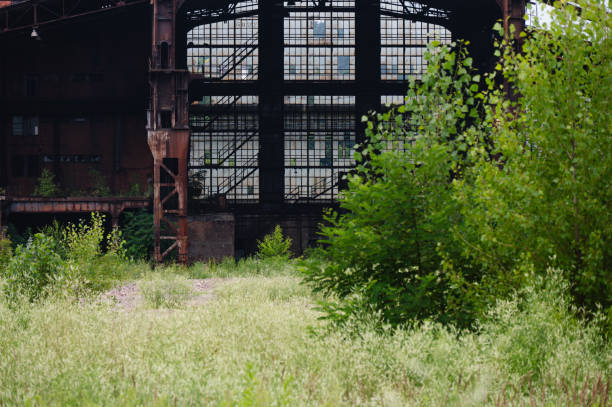Overgrown Industrial Ruins with Lush Vegetation