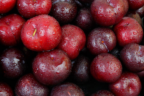 istock Plums fruits with water drops as background. 2162998499