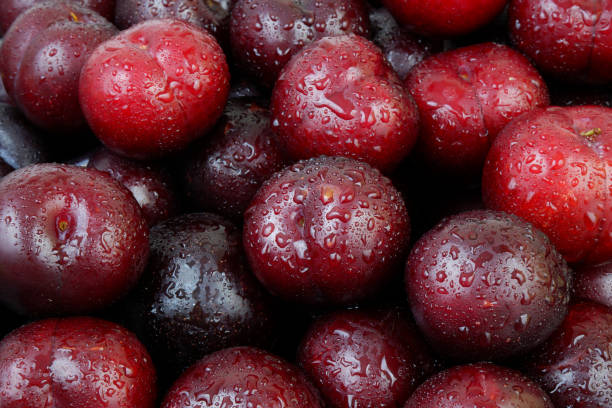 istock Plums fruits with water drops as background. 2162998506