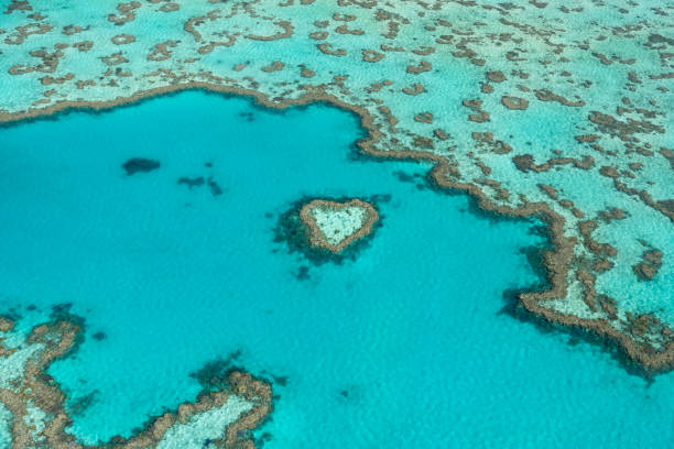 istock Heart Reef in the Great Barrier Reef 2162998731