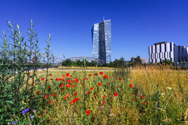 A modern skyscraper stands tall against a blue sky with a vibrant meadow of wildflowers in the foreground, in Frankfurt, Germany.A striking modern high-rise building in Frankfurt, Germany, with a foreground of colorful blooming flowers and a clear blue sky.\n\nCaptivating view of Frankfurt with the iconic EZB tower.