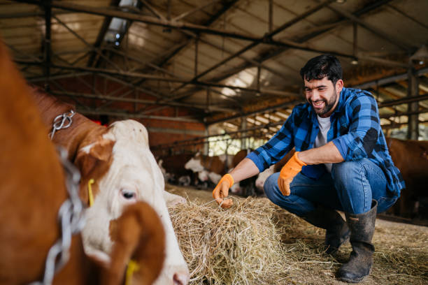 istock Portrait of a young farmer 2162999913