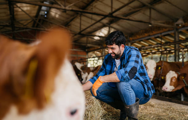 istock Portrait of a young farmer 2162999994