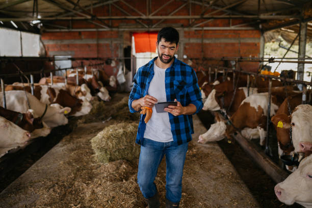 istock How to produce healthy dairy products 2163000303