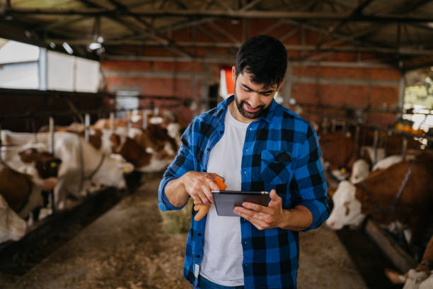 istock How to produce healthy dairy products 2163000417