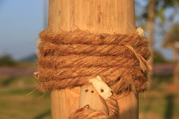 A brown rope is tied to a large bamboo stick.