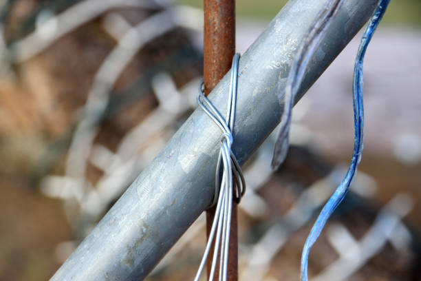 The wire is firmly attached to the tree.