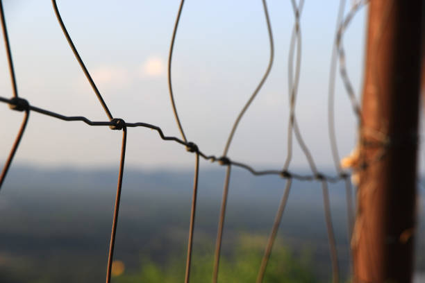 istock Wire mesh at the park old, rusted condition. 2163001160