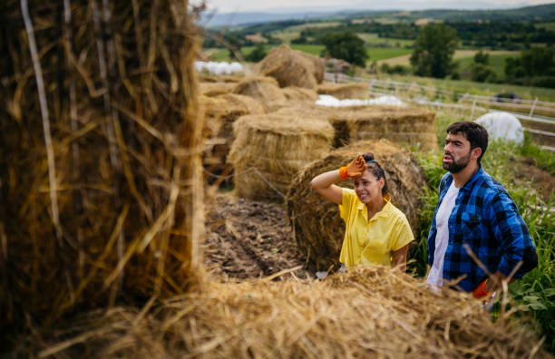 istock Farmers on the farm 2163002887