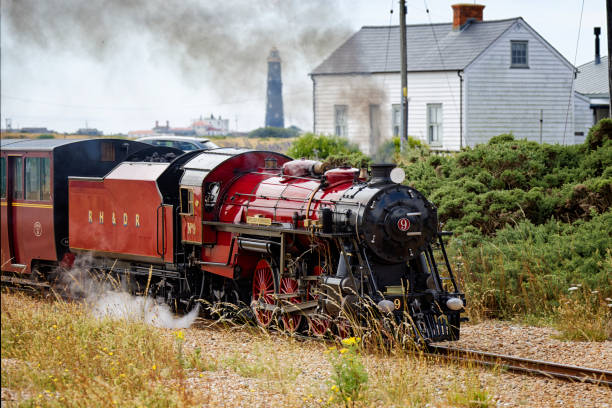 Steam train with smoke from the locomotive driving in the countryside with smoke coming from the chimney. The black and red locomotive is pulling passenger railroad car with tourists.