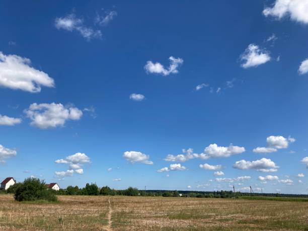 istock Field in summer after harvest 2163005996