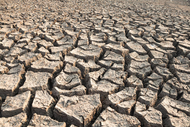 istock Landscape ground cracks drought crisis environment background. 2163010466