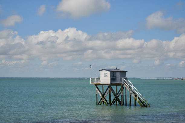 Square net fishing on stilts at the charente coast
