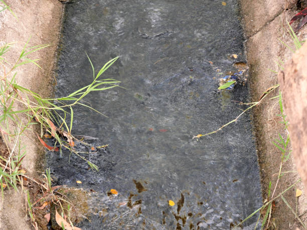 istock Wastewater in a small river full of garbage. Environmental pollution. 2163016839