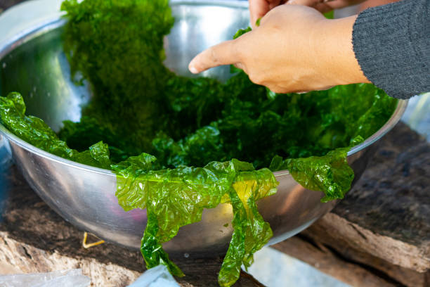 istock Healthy green leafy vegetable bowl being prepared with hands in kitchen 2163017063