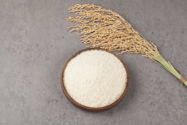 istock Rice is the kernel from which the husk has been removed from the paddy plant. 2163019825