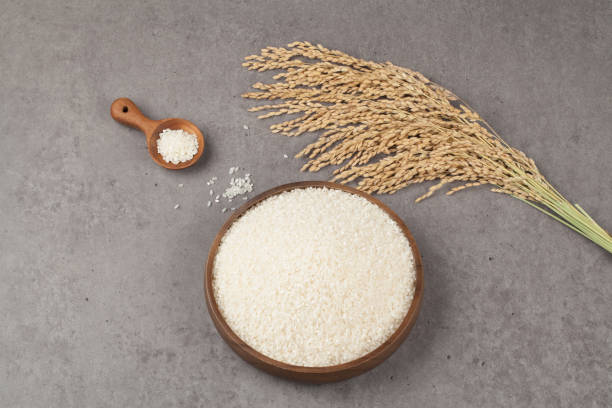 istock Rice is the kernel from which the husk has been removed from the paddy plant. 2163019834