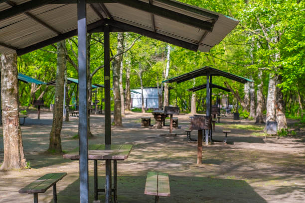 istock Empty barbecue area. Public place for a weekend in the park. 2163020854