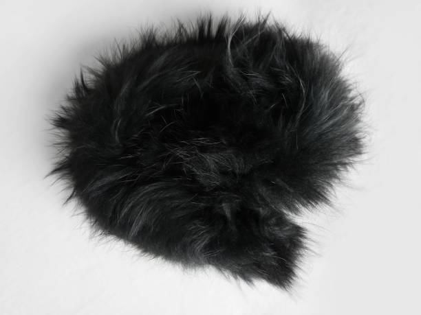 istock Black fur collar on a white background. Artificial fur. View from above. 2163021060