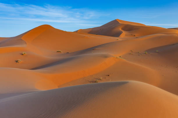 istock Western Sahara Desert in Africa 2163025146