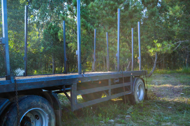 istock A logging truck with empty trailers drives forward along the highway against a background of forest and blue sky 2163029243