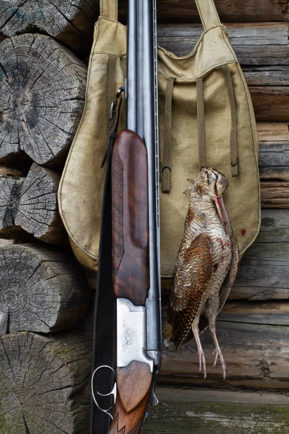A cloth hunting bag hangs on the wall of a log house. A shot woodcock is attached to it. The shotgun is leaning against the wall.