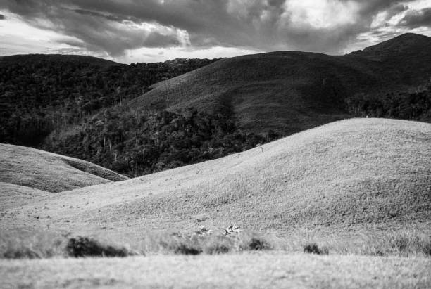 istock Mountain range at La Gran Sabana, Bolivar State, Venezuela. 2163039997