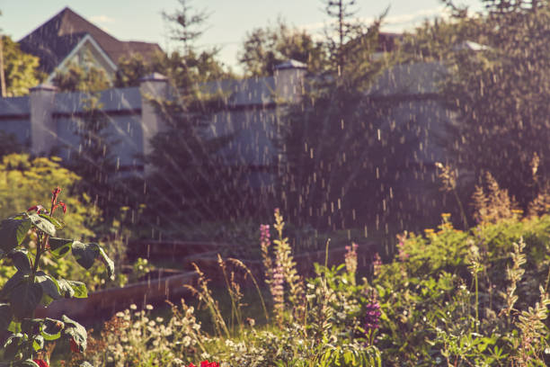 A spray irrigation system waters the garden on a sunny summer day. Sprinkler system for watering plants. The concept of gardening, growing and caring for plants. High quality photo