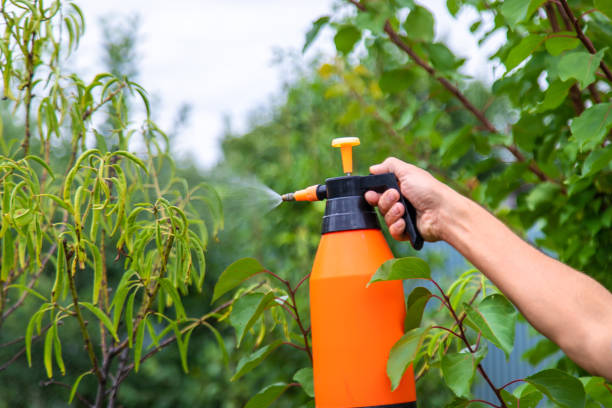 istock A man sprays trees in the garden. Selective focus. 2163049008